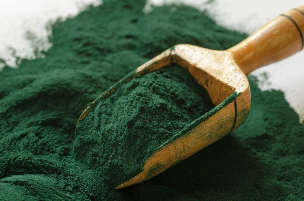 Pó de spirulina