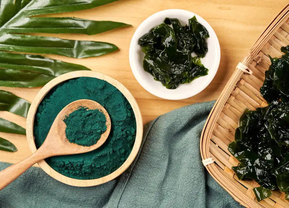 algas chlorella in natura e pó verde de suplemento de chlorella