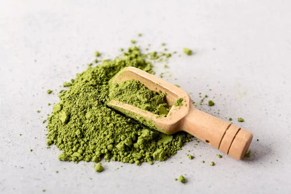 spirulina em pó alga verde