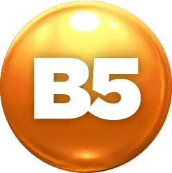 Ícone laranja vitamina b5
