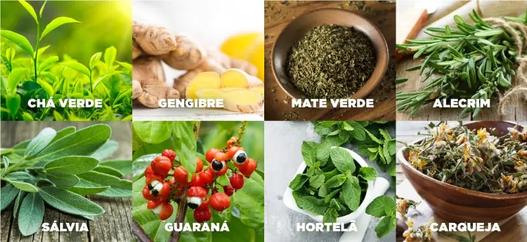 ingredientes-desincha