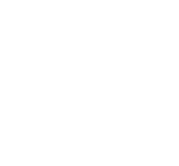 ingredientes premiun